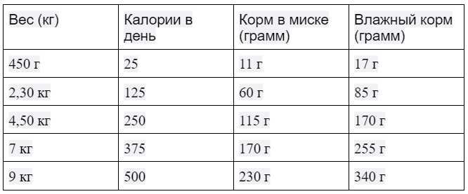 Рекомендации по количеству влажного корма в день