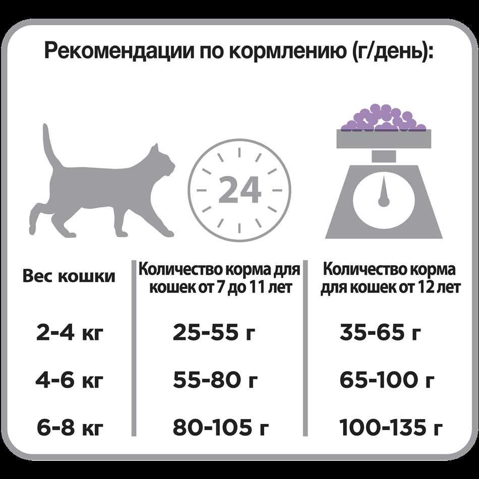 Как составить рацион кошки с учетом влажного корма?