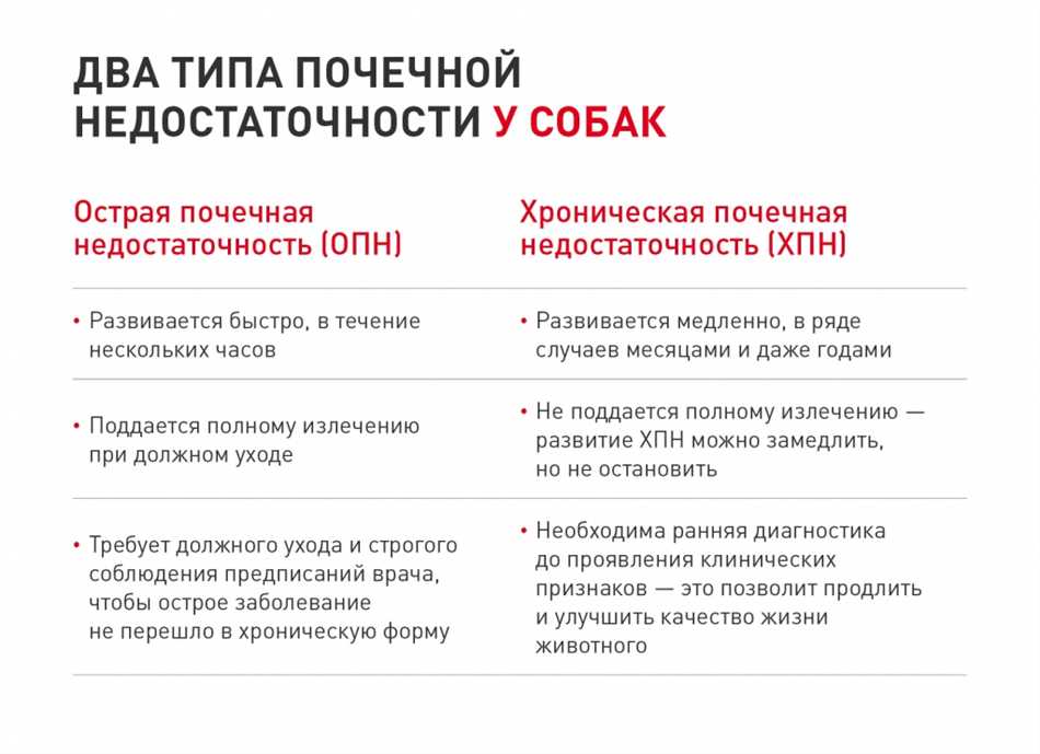 Проведение лечения при тяжёлой почечной недостаточности