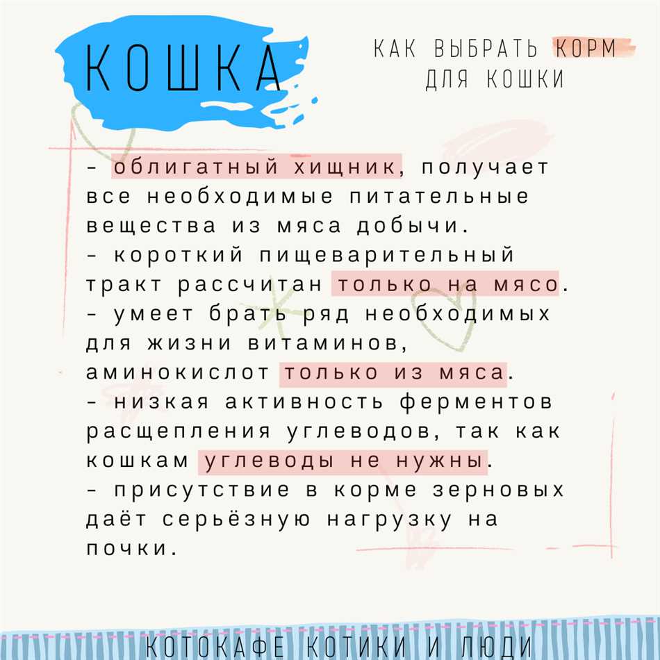 Раздел 3: Способы определить количество мяса в кошачьем корме